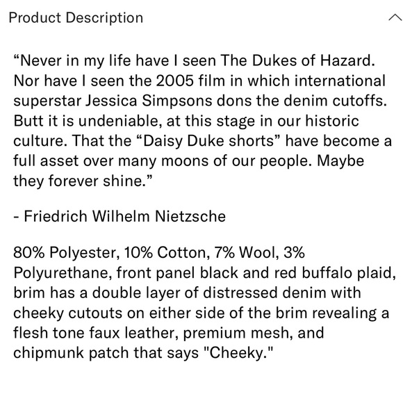 ⭐️NIB Limited Edition Goorin Brothers “Cheeky” Chipmunk Trucker Hat - Picture 8 of 8